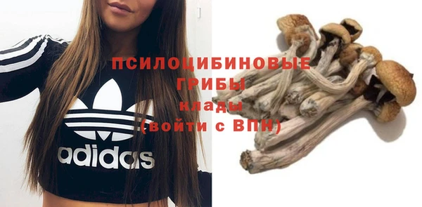 сатива Абдулино