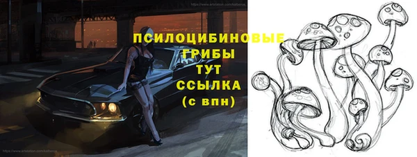 дмт Абаза