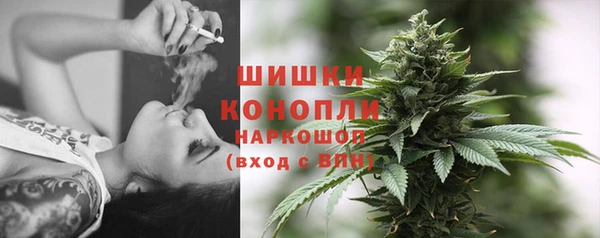 ГАЛЛЮЦИНОГЕННЫЕ ГРИБЫ Покачи