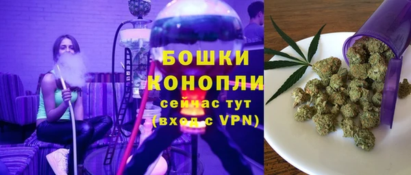 гидра Алексеевка